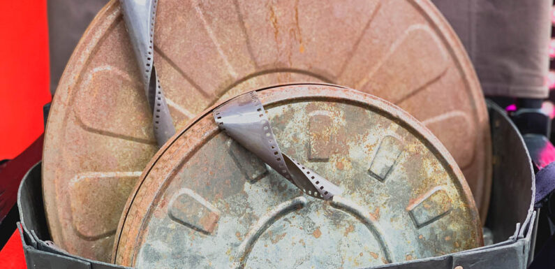 Im Juli: Picknick-Kino und Popcorn im Kurpark Bad Nenndorf