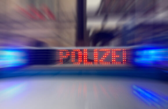 Diebstahl und Sachbeschädigung auf dem Gelände des MTV Rehren