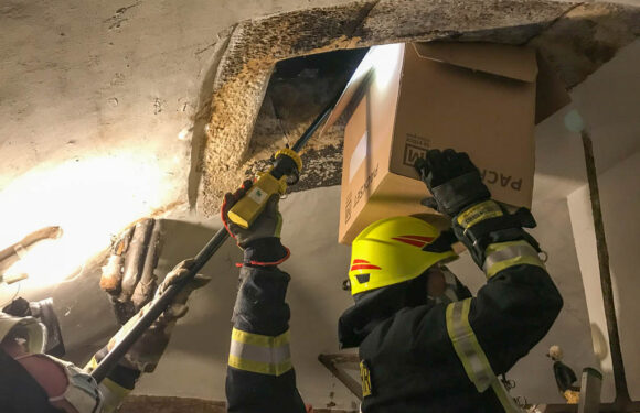 Feuerwehr rettet Waldkauz aus Schornstein