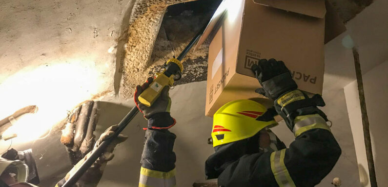 Feuerwehr rettet Waldkauz aus Schornstein