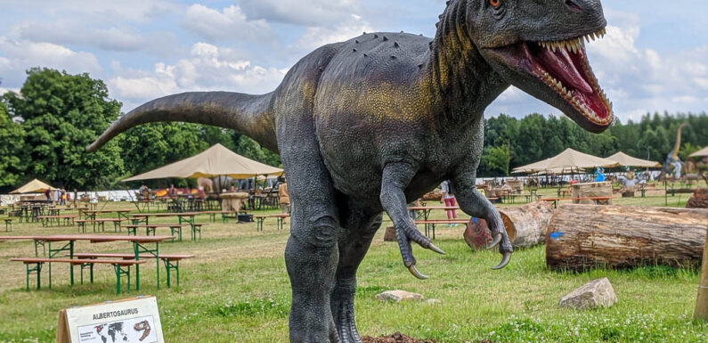 Bückeburg: Start frei für den großen MPS Skulpturenpark (Bildergalerie)