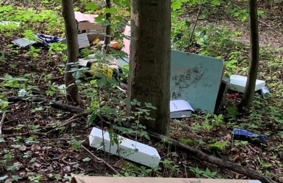 Illegale Müllentsorgung im Harrl: Polizei sucht Zeugen