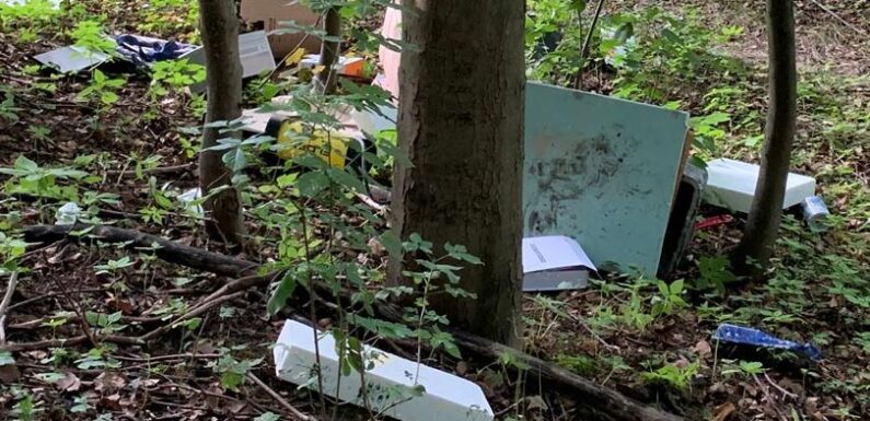 Illegale Müllentsorgung im Harrl: Polizei sucht Zeugen