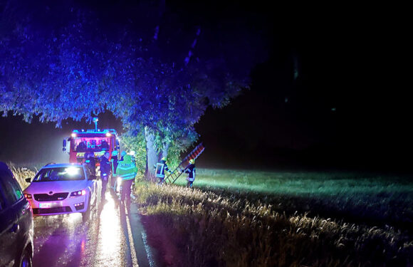 Feuerwehr rettet jugendliche Urlauberin aus Baum