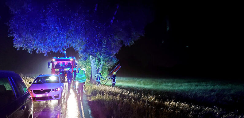 Feuerwehr rettet jugendliche Urlauberin aus Baum