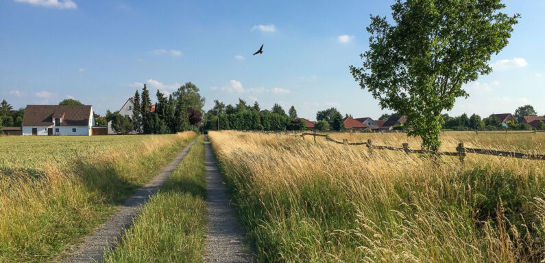Wilhelm Busch und das Alltagsleben in Wiedensahl