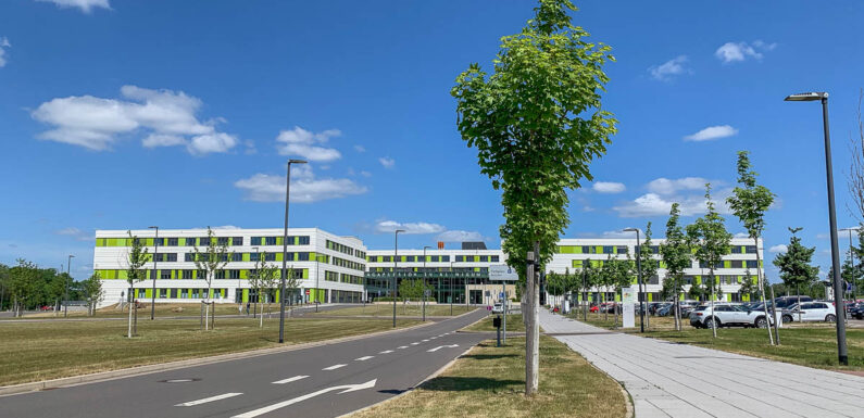 Patientenuni Schaumburg: Darmkrebs im Fokus – Früherkennung und Behandlung