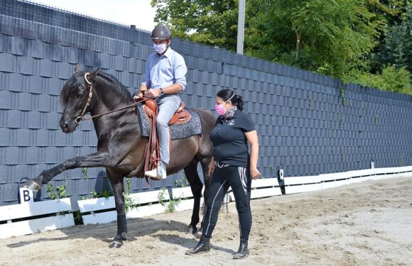 Pferdefreunde Wölpinghausen überbrücken schwere Zeiten