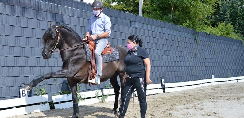 Pferdefreunde Wölpinghausen überbrücken schwere Zeiten