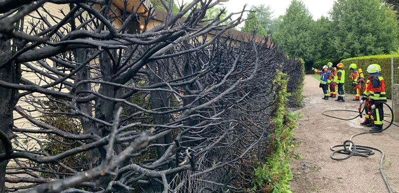 Bückeburg: Hecke bei Abflammarbeiten in Brand geraten