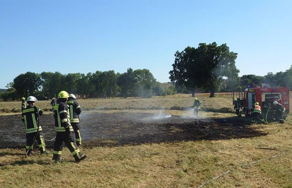 Feuerwehr löscht Flächenbrand in Wiedenbrügger Feldmark