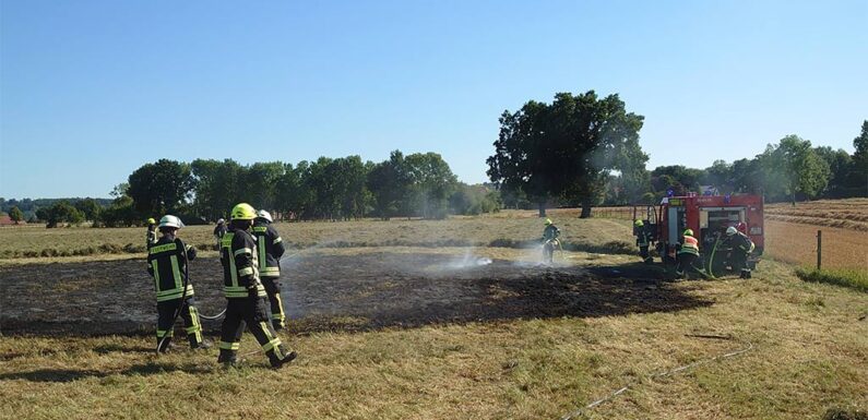 Feuerwehr löscht Flächenbrand in Wiedenbrügger Feldmark