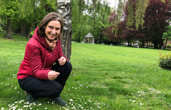 Bad Nenndorf: Kräuterwanderung im Kurpark