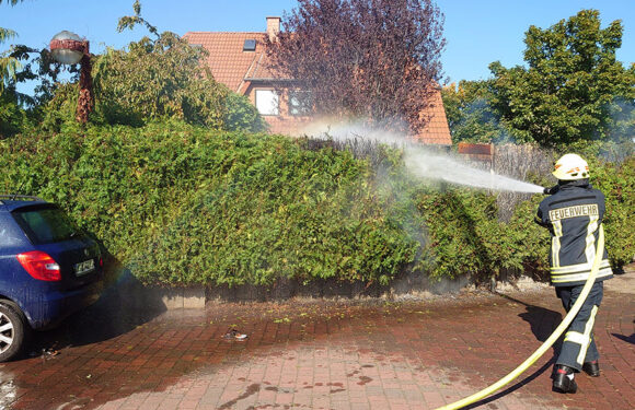 Hagenburg: Heckenbrand im Hopfengarten