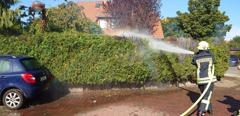 Hagenburg: Heckenbrand im Hopfengarten