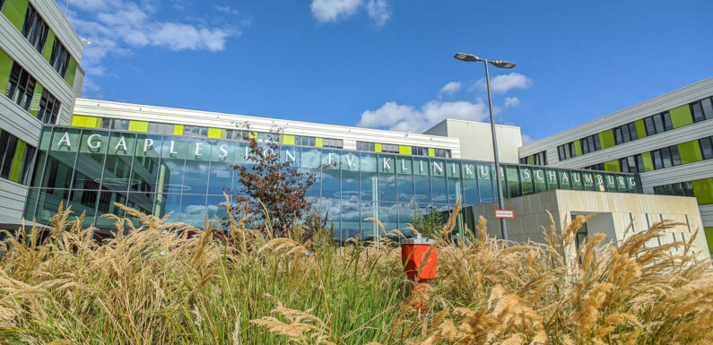 Expertentelefon: „Lungenerkrankungen erkennen und damit umgehen“