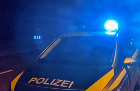 Zusammenstoß zwischen Zug und Reh auf der Bahnstrecke Hannover-Minden