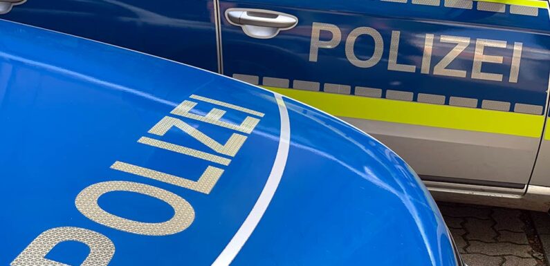 Ortsunkundiger LKW-Fahrer wendet und hinterlässt Spur der Verwüstung