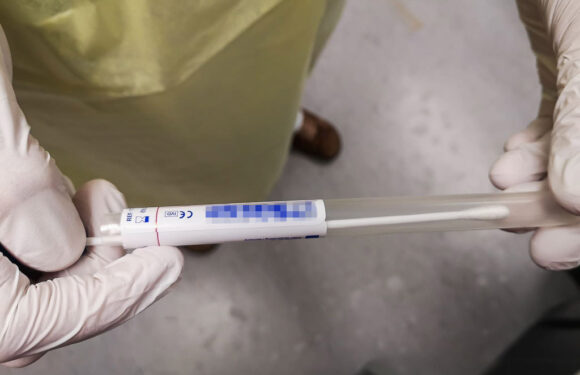 Corona: Aktuelles aus dem Landkreis Schaumburg