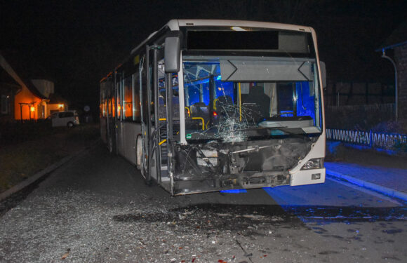 Linienbus rammt Transporter: Busfahrerin verletzt, 80.000 Euro Schaden