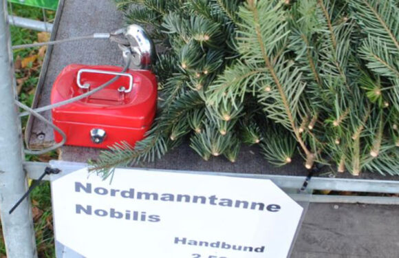 Geldkassetten mit Wochenendeinnahmen gestohlen