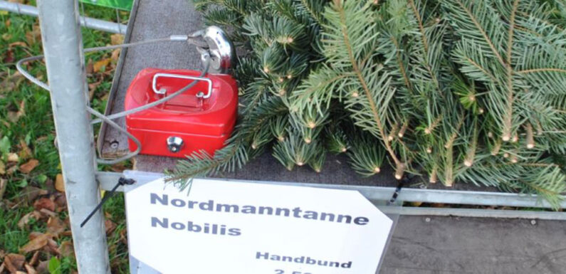 Geldkassettendiebstahl: Täter schlagen erneut zu