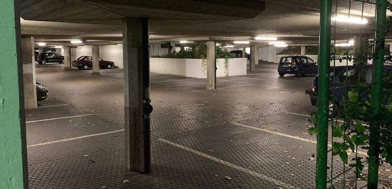 Polizei beschlagnahmt Marihuana und Mobiltelefone