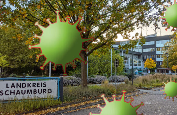 Corona-Hotline des Landkreises ab Januar 2023 nur noch vormittags erreichbar