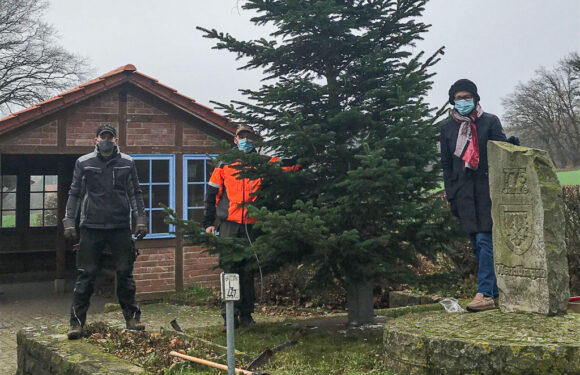 Erster Weihnachtsbaum seit der Gründung Wendthagens vor 786 Jahren auf dem Dorfplatz