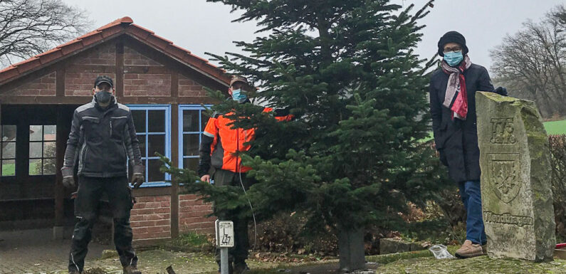 Erster Weihnachtsbaum seit der Gründung Wendthagens vor 786 Jahren auf dem Dorfplatz