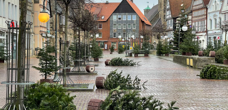 Stadthagen: Vandalismus an Weihnachten / Stromverteiler beschädigt