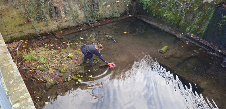 Doch keine gestohlenen Handys: Polizei fischt Tüte aus Schlossbach