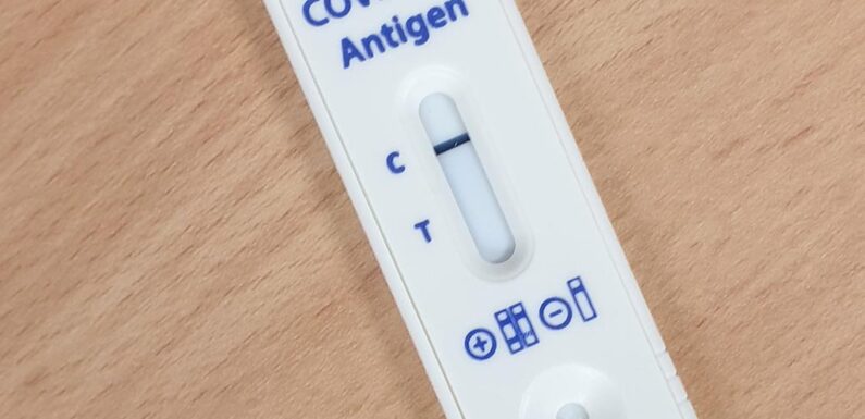 Zweimal pro Woche: Niedersachsen führt Corona-Testpflicht an Schulen ein