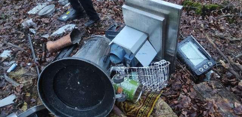 Umweltverschmutzung im Wald entdeckt