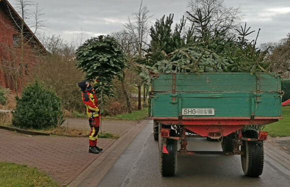 Feuerwehren sammelten Tannenbäume ein