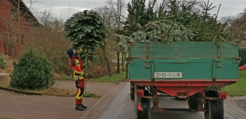 Feuerwehren sammelten Tannenbäume ein