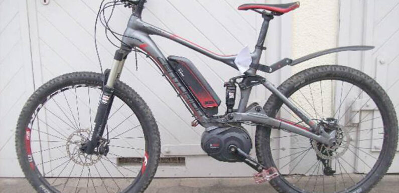 Wem gehört dieses Pedelec?
