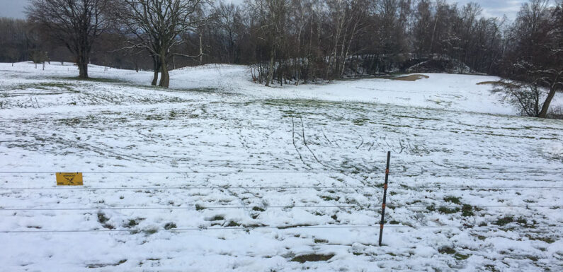 Golfclub Schaumburg: „Schlittenfahren auf dem Golfplatz ist verboten“