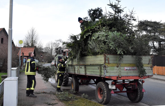 Bückeburg: Ortsfeuerwehren sammeln Tannenbäume ein