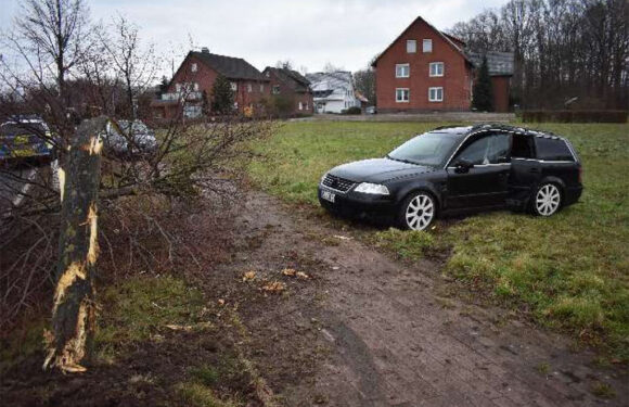 Probsthagen: Passat prallt gegen Baum