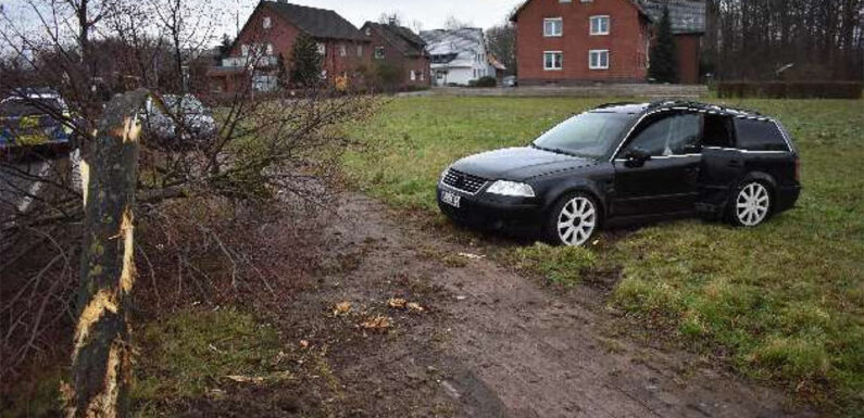 Probsthagen: Passat prallt gegen Baum