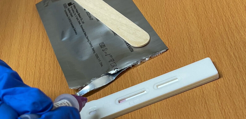 DRK Kreisverband Schaumburg sucht Verstärkung für Tests und Corona-Impfteams