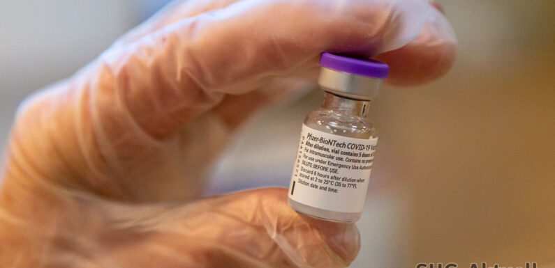 DRK Schaumburg informiert über Corona-Impftermine im Dezember