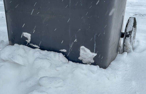 AWS: Ausgefallene Müllabfuhr wird am 10. Januar nachgeholt