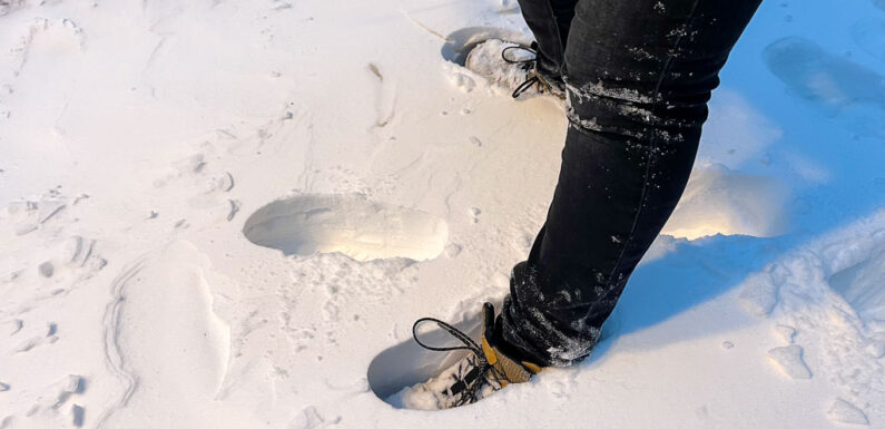 Landkreis Schaumburg meldet Schulausfall für Montag