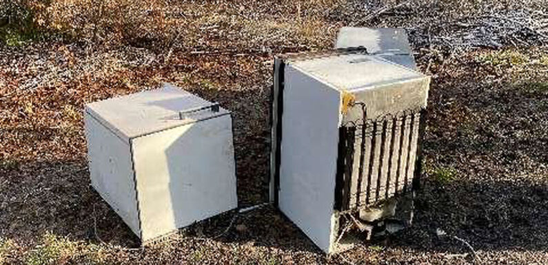 Kühlschränke im Wald bei Schloss Baum entsorgt