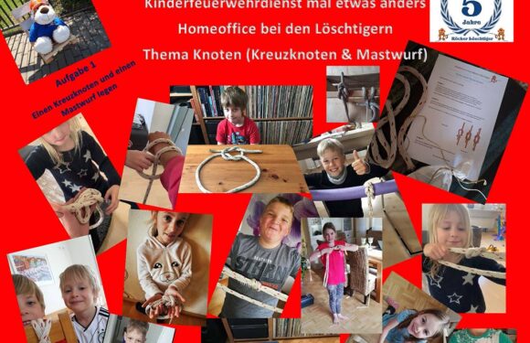 Keine Tannenbäume aber hohe Spendenbereitschaft