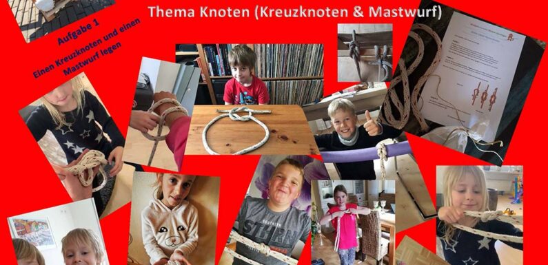 Keine Tannenbäume aber hohe Spendenbereitschaft