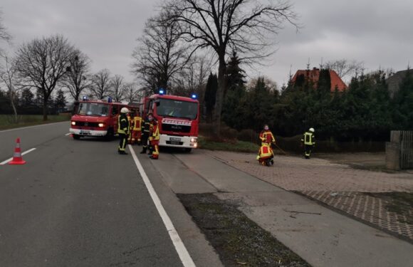 Brennender Föhn sorgt für Feuerwehreinsatz in Müsingen