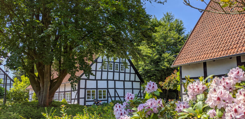 Bücherflohmarkt in der ehemaligen Landfrauenschule